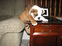 3-26-11 (6).webp
