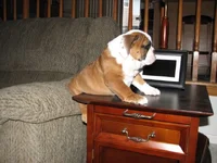 3-26-11 (5).webp