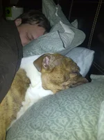 2011 Family 1187.webp