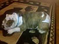 Nap.webp