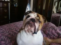 0101091118.webp