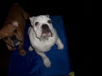 100_8365.webp