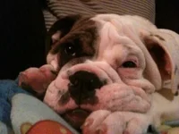 IPhone 048.webp