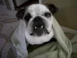 Bea Likes Tub Time.webp