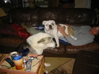 IMG_0123.webp IMG_0123.webp