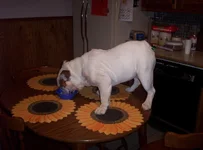 000_0150.webp