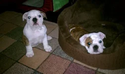 photo(2).webp