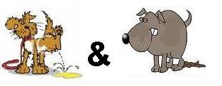 Pee&poop.JPG Pee&poop.JPG
