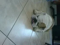 image(1).webp