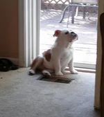 04 28 13 Enjoying the sun.webp