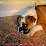 ImageUploadedByTapatalk 21372645297.365919.webp
