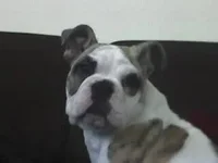 nsnu maggie two.webp
