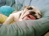 sleepy head.webp