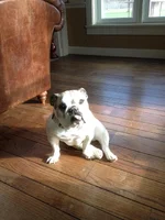 Maggieinthesun.webp