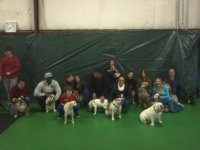 Bulldog Meetup2.jpg Bulldog Meetup2.jpg