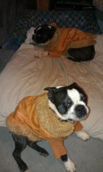 boys in new coats.jpg boys in new coats.jpg