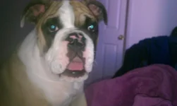 IMAG4609.webp