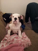 20130226_180241.webp