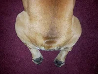 photo.webp