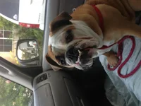image.webp