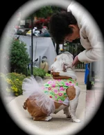 DSC_0033.webp