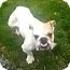 102391222.webp