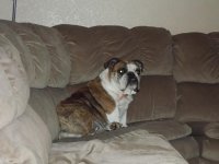 100_1143.jpg 100_1143.jpg