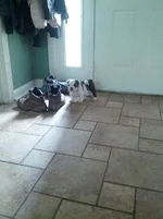 IMG_20130626_160017.webp