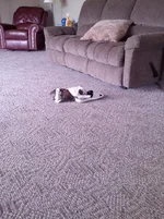 IMG_20130629_132926.webp