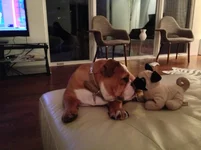Picture 002.webp