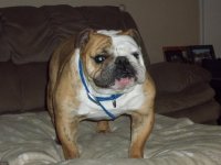 100_1153.jpg 100_1153.jpg