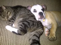 IMG-20130702-00244.webp