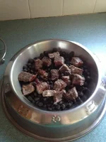 dinner.webp