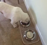 eating.webp