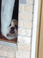 Karly greeting me.webp