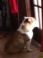 Karly Feb 2012.webp