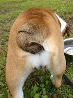 image.webp