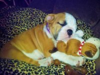 408321_461316493889543_474729241_n.jpg 408321_461316493889543_474729241_n.jpg