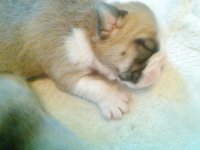 563889_440507275970465_1596286146_n.jpg 563889_440507275970465_1596286146_n.jpg