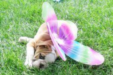 GEDC1083.jpg GEDC1083.jpg