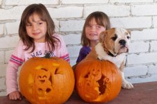 Lola first year one 019.jpg Lola first year one 019.jpg