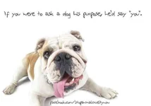 ImageUploadedByTapatalk1362201001.997840.webp
