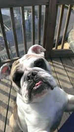 Little Face 2.webp