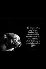 ImageUploadedByTapatalk1362252065.512781.webp