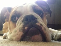 photo 5 (4).webp