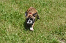 DSC_0089.webp