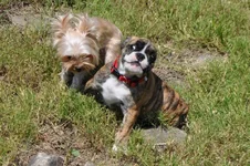 DSC_0099.webp