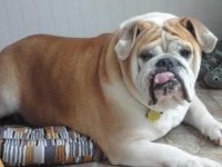 buster eb HBR.jpg buster eb HBR.jpg