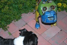 DSC_0013.webp