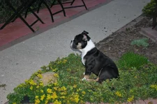 DSC_0008.webp